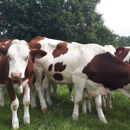 Gite A La Ferme, Avec Animaux, Fromages Et Nature Neuville-les-Decize ภายนอก รูปภาพ
